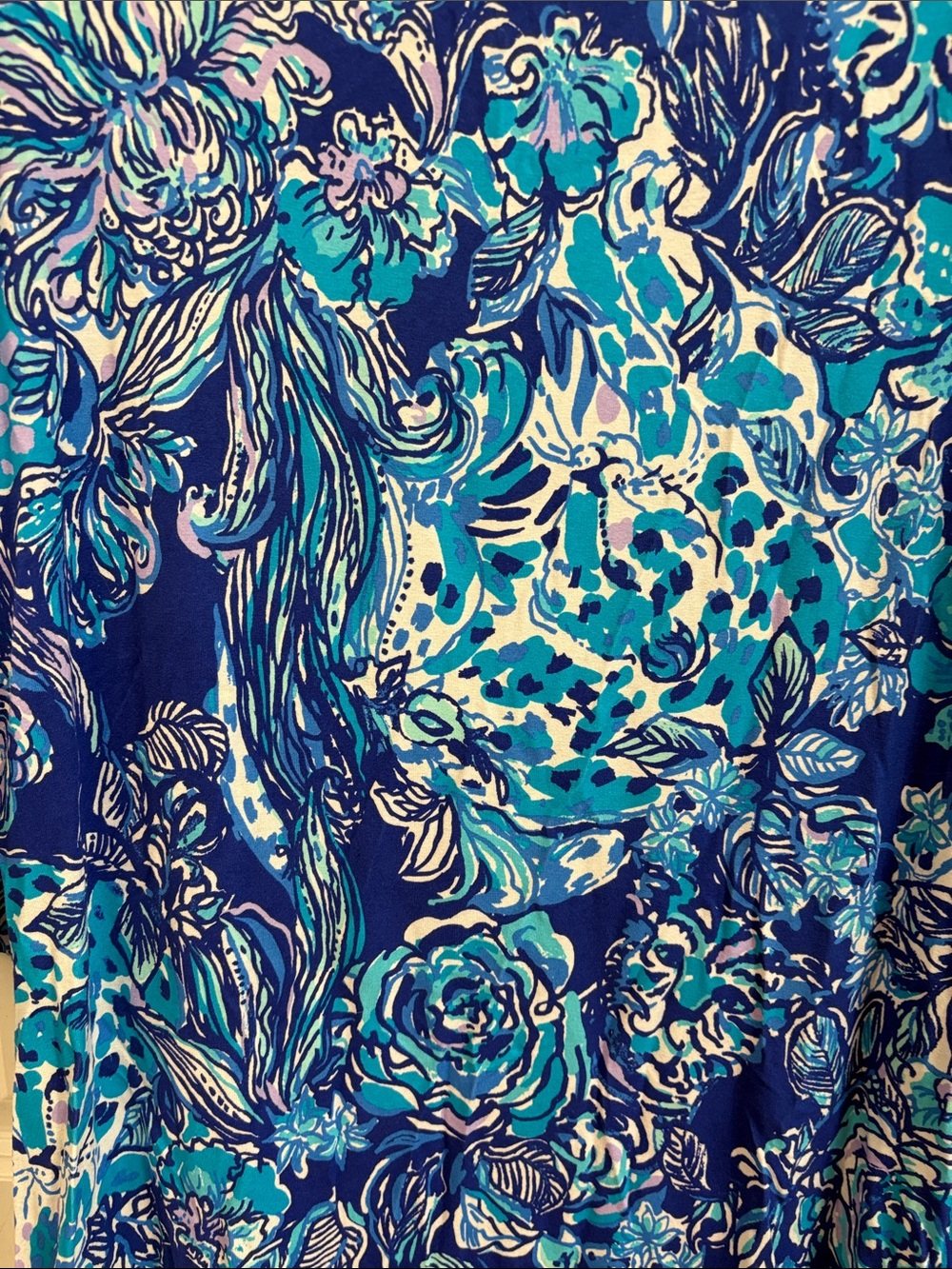 Lilly Pulitzer Dress - Picture 4 of 6